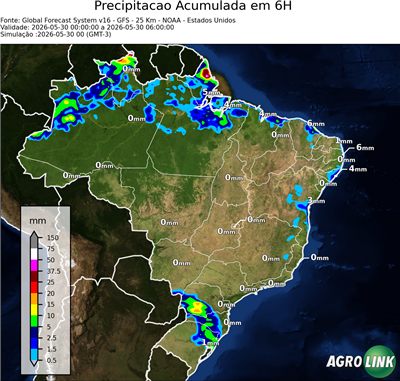6 horas