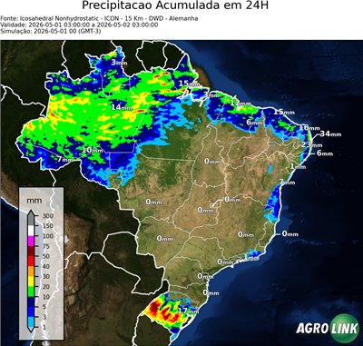 24 horas