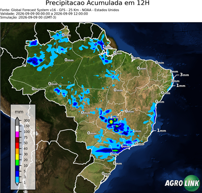 12 horas