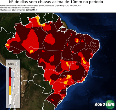 5 dias