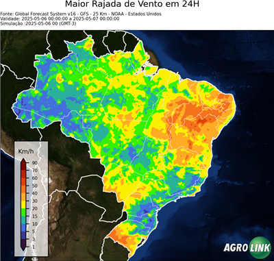 24 horas