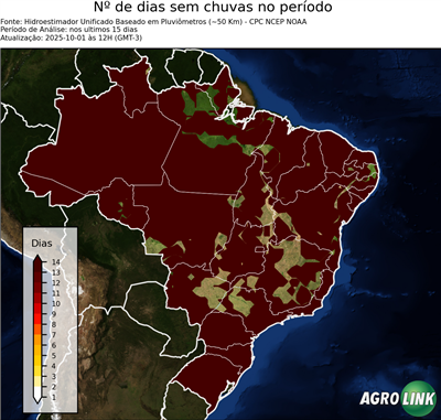 15 dias