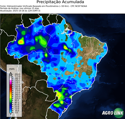 15 dias