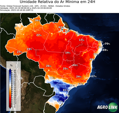 24 horas