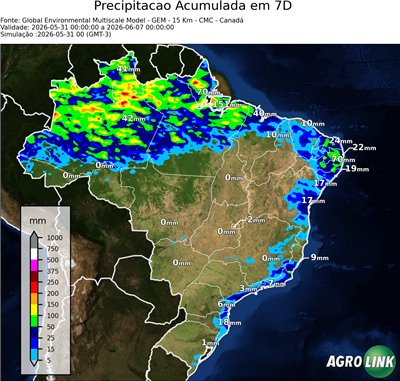 10 dias