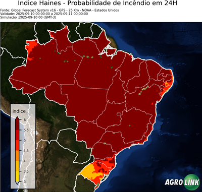 24 horas