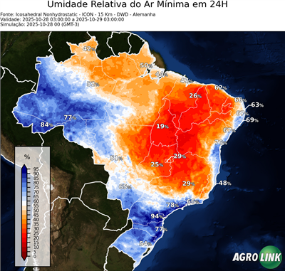 24 horas