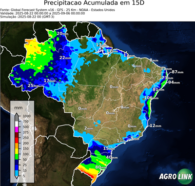 15 dias