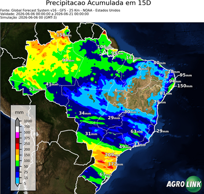 15 dias