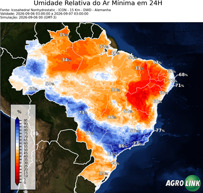 24 horas