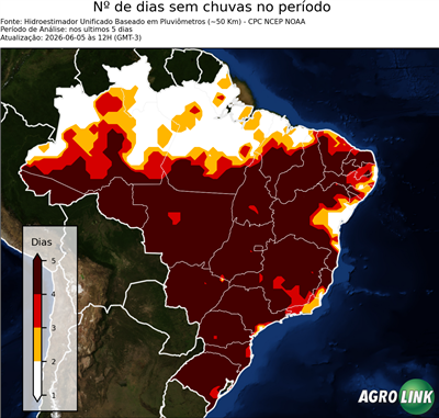 5 dias