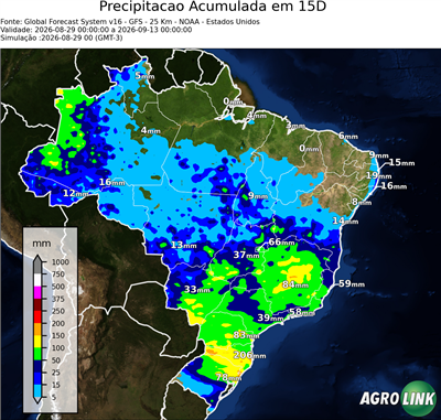 15 dias