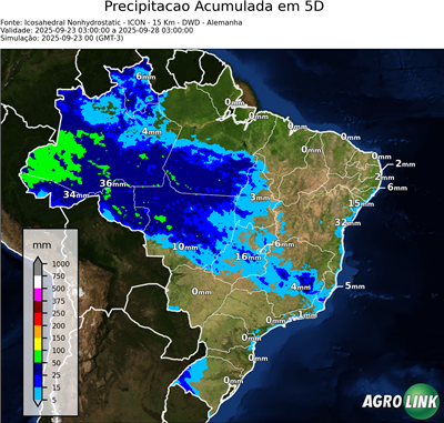 5 dias