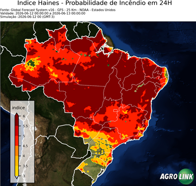 24 horas