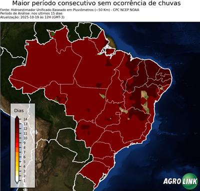15 dias