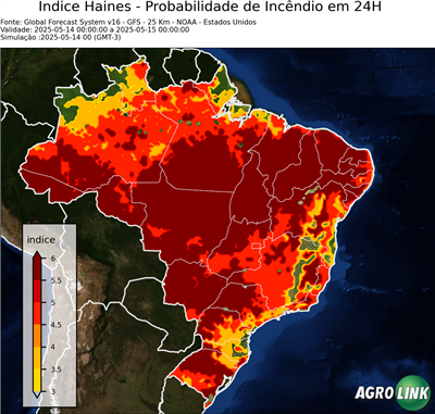 24 horas