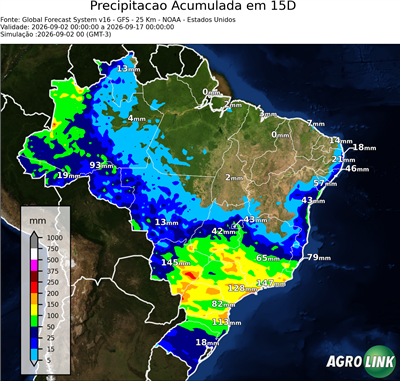 15 dias