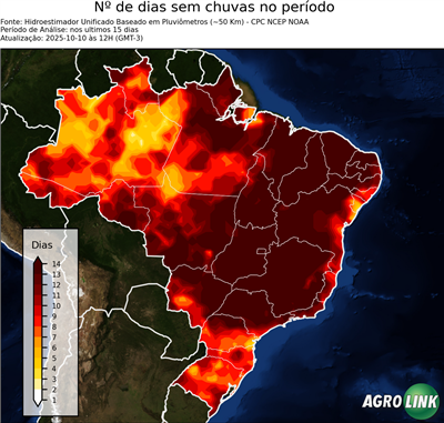 15 dias