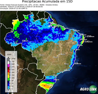 15 dias