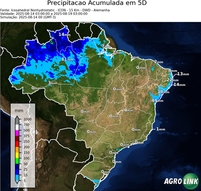 5 dias