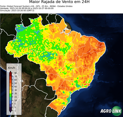 24 horas