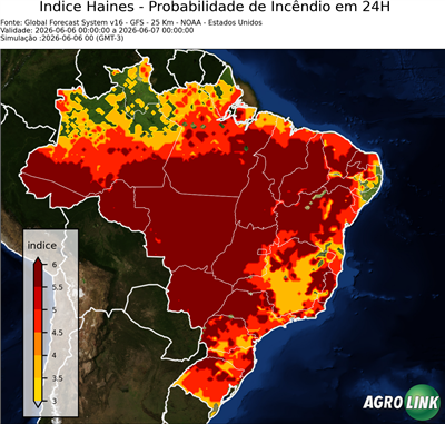 24 horas