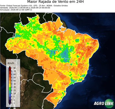 24 horas