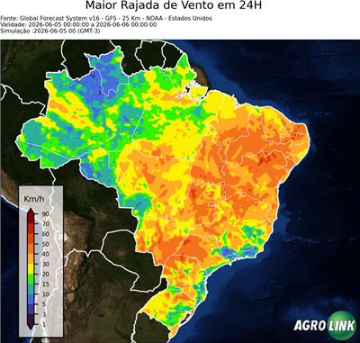 24 horas