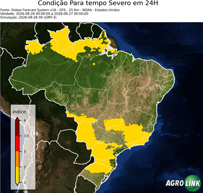 24 horas
