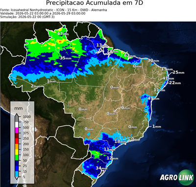 7 dias