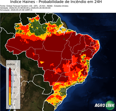 24 horas