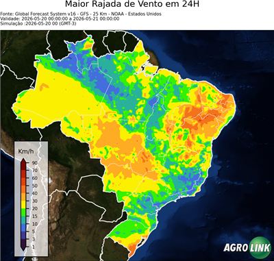 24 horas