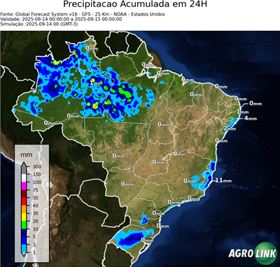 24 horas