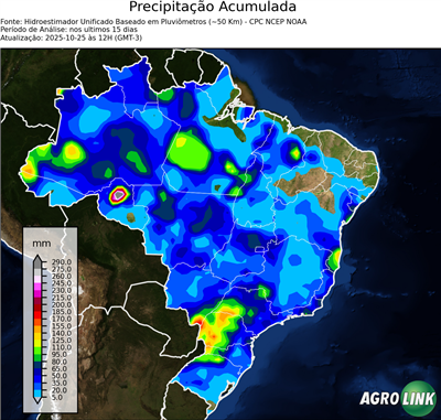 15 dias