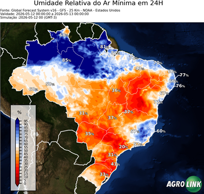 24 horas