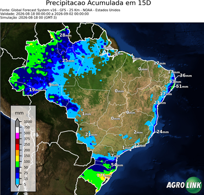 15 dias