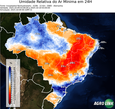 24 horas