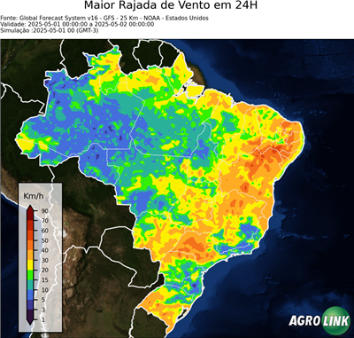 24 horas