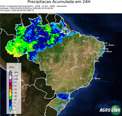 24 horas