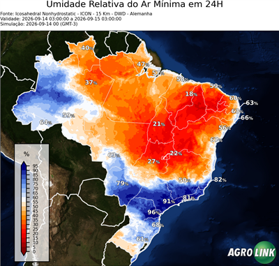 24 horas