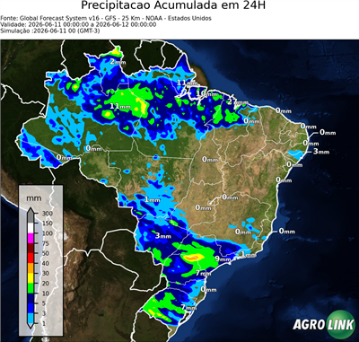 24 horas