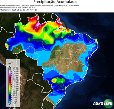 15 dias
