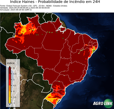 24 horas