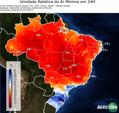 24 horas