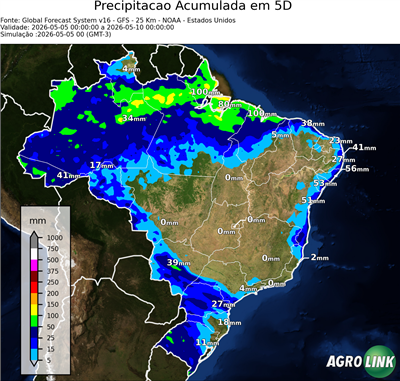 5 dias