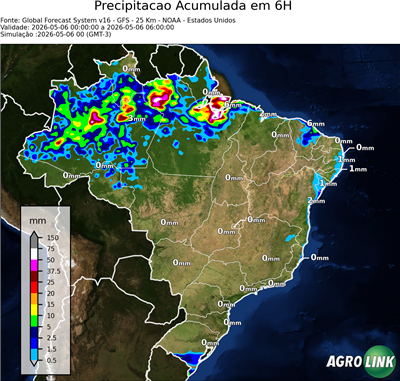 6 horas