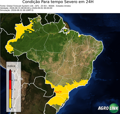 24 horas
