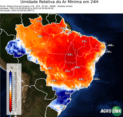 24 horas