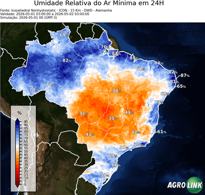 24 horas
