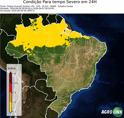 24 horas